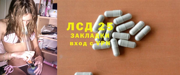 сатива Верея