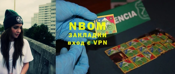 сатива Верея