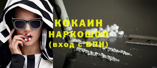сатива Верея