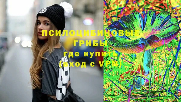 spice Володарск