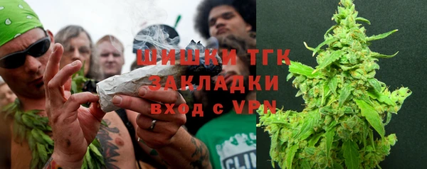 сатива Верея