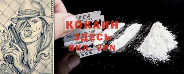 сатива Верея